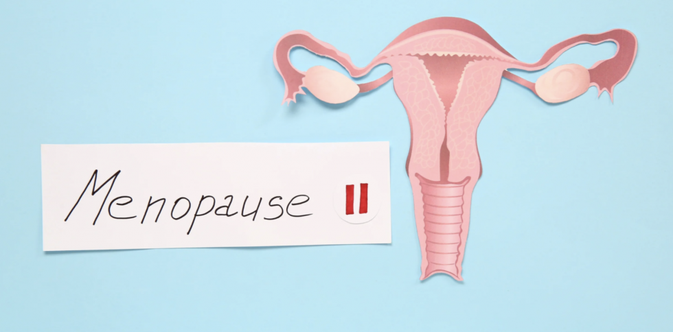 Vaginal Dryness and Discomfort During Menopause